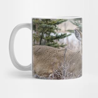 White tailed deer Mug